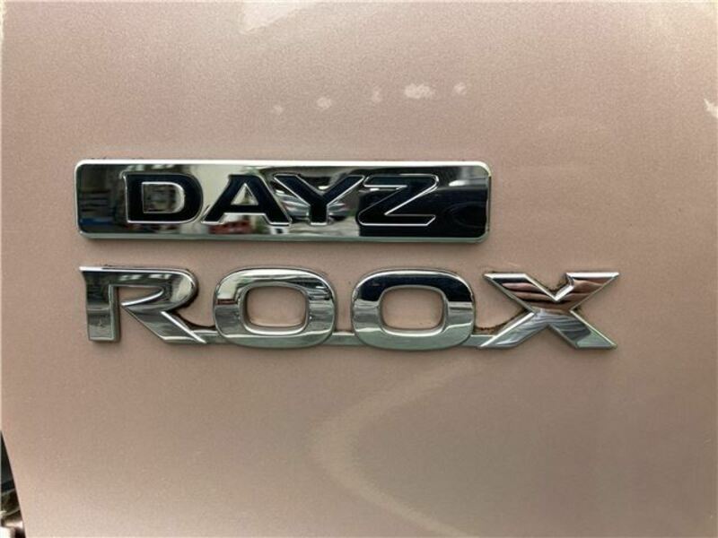 DAYZ ROOX-12