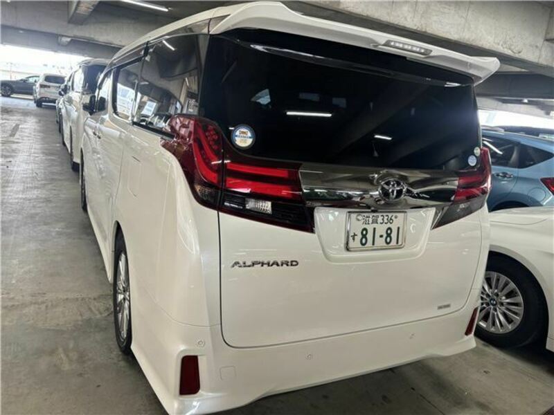 ALPHARD-7