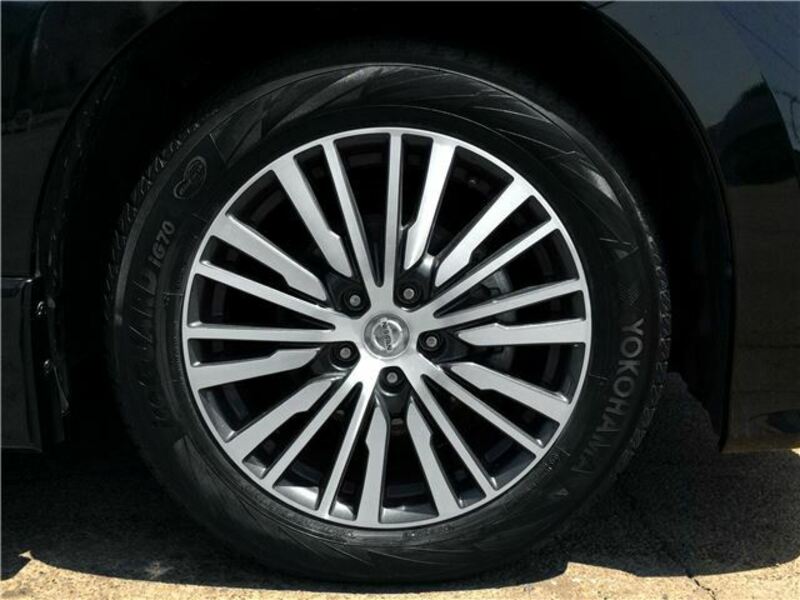 ELGRAND-12