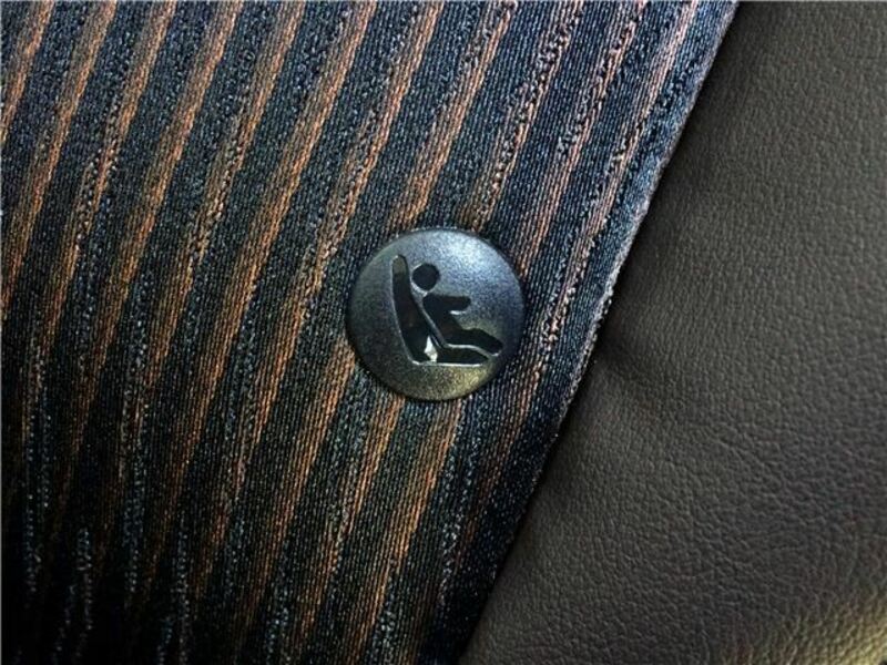 ELGRAND-38