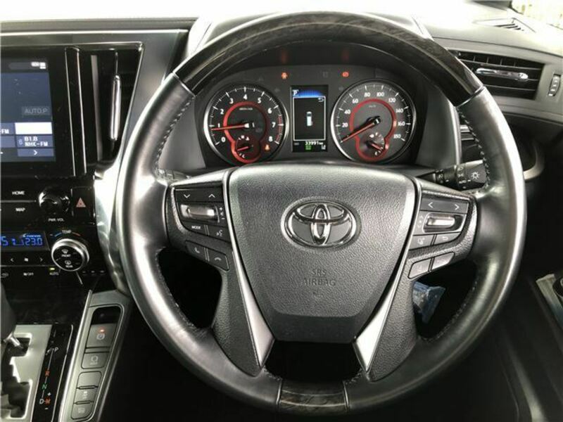 ALPHARD-15