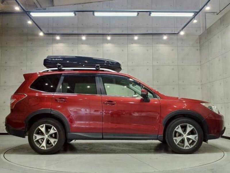 FORESTER-1