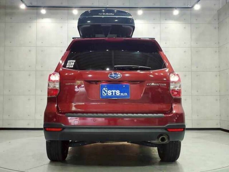 FORESTER-4