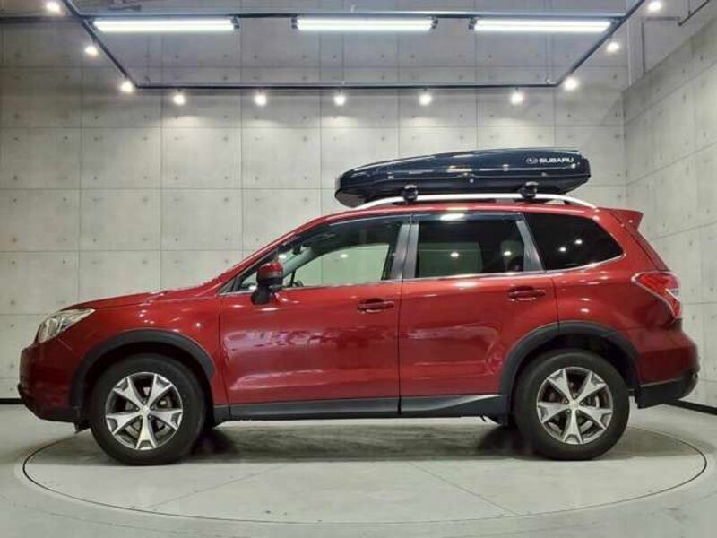 FORESTER-6