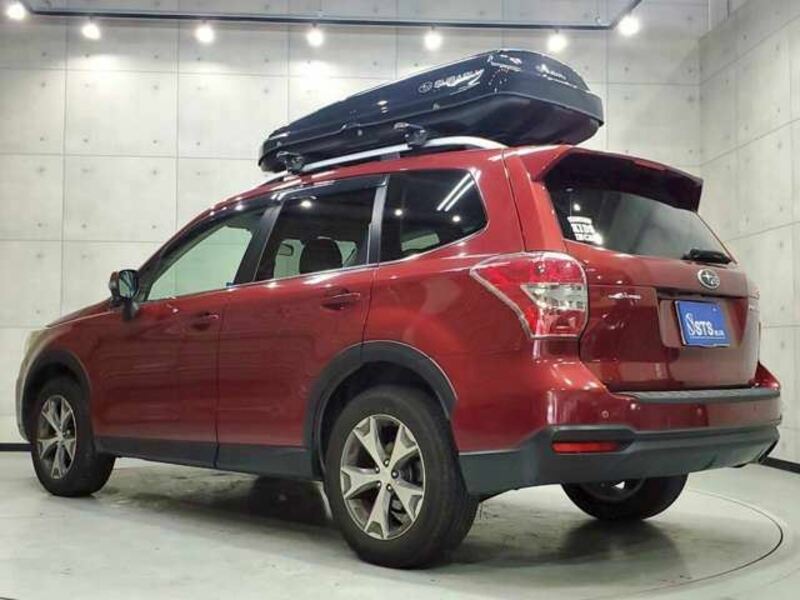 FORESTER-7