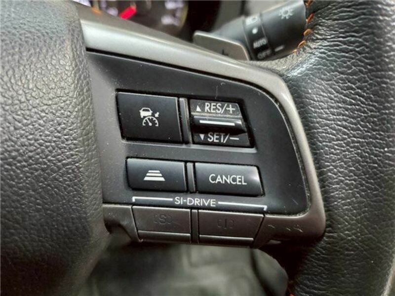 FORESTER-13