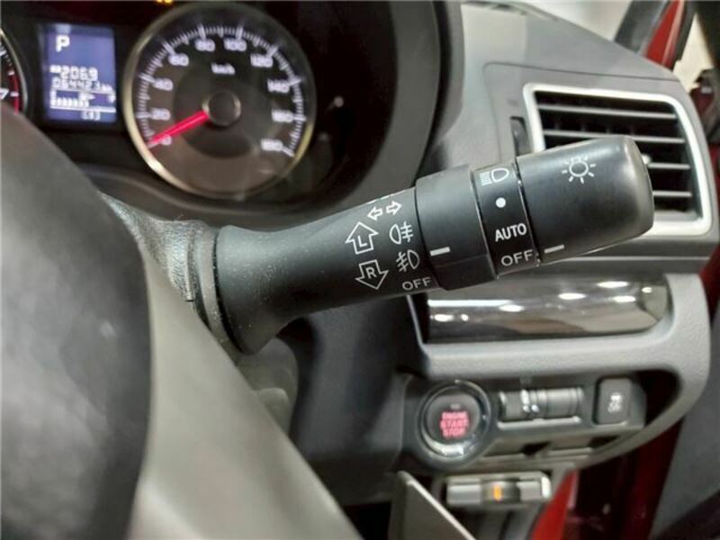 FORESTER-17