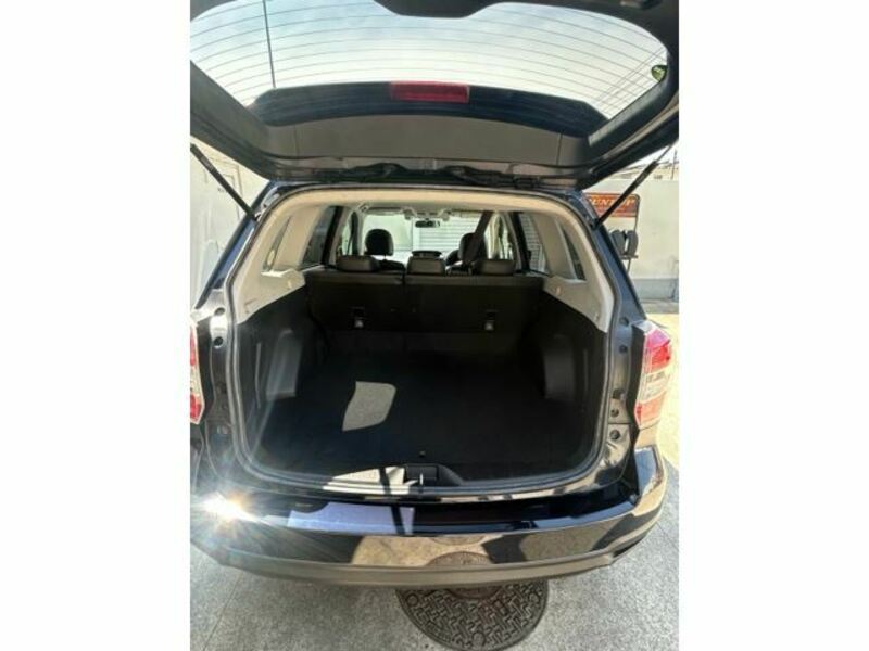 FORESTER-6