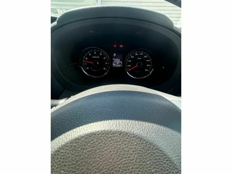 FORESTER-7