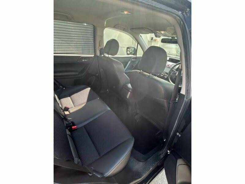 FORESTER-9