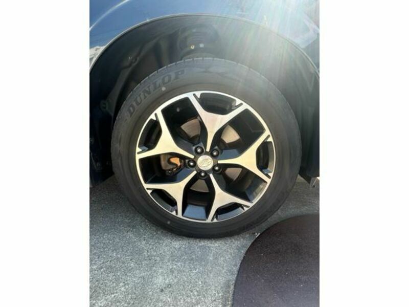 FORESTER-10