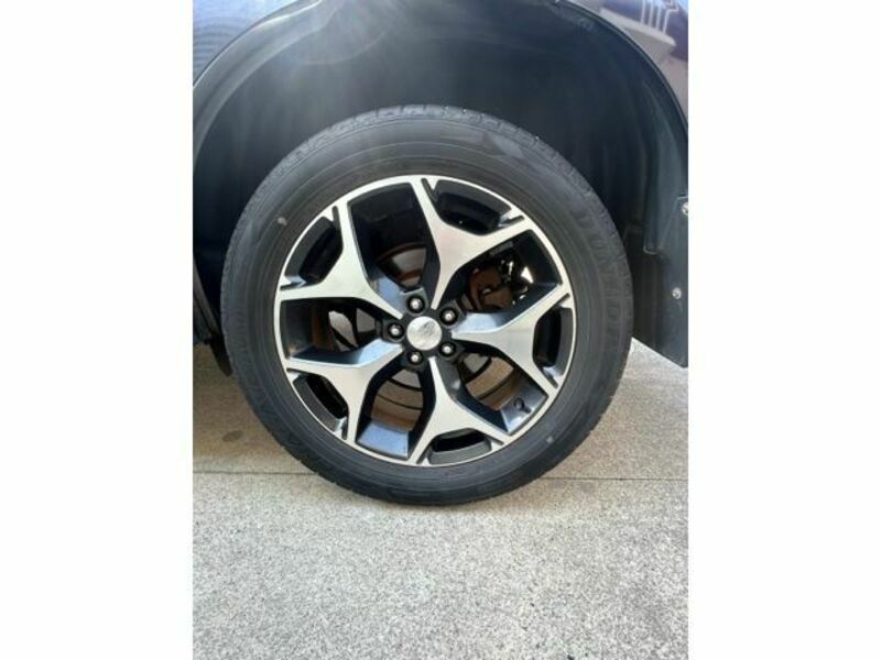 FORESTER-11