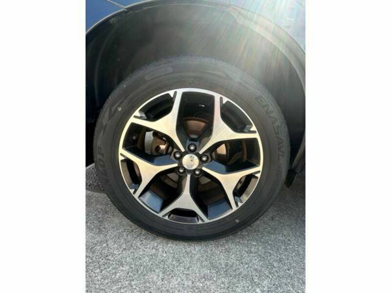 FORESTER-12