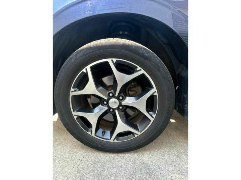 FORESTER-14