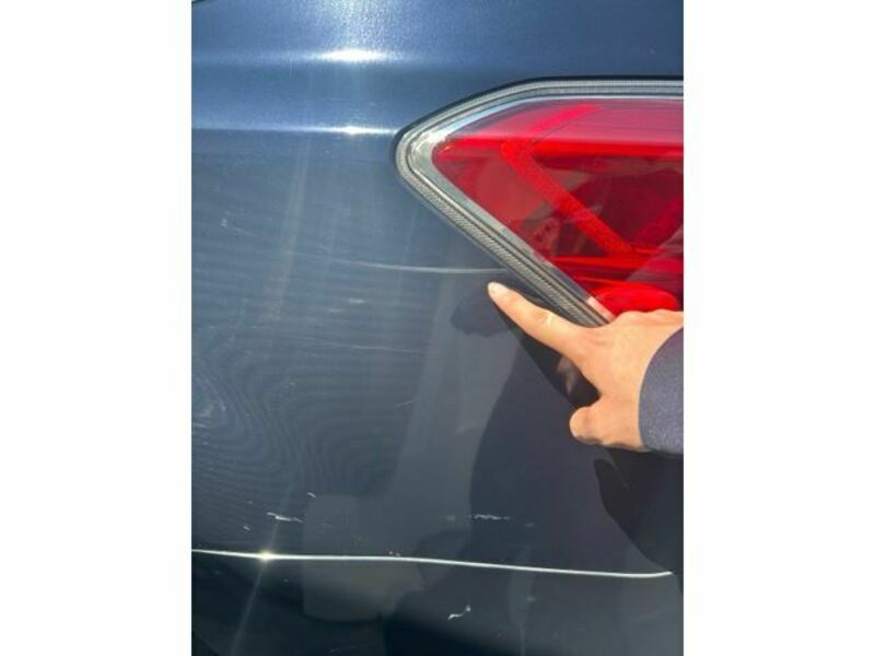 FORESTER-15