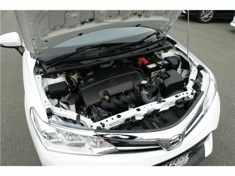 COROLLA FIELDER-19