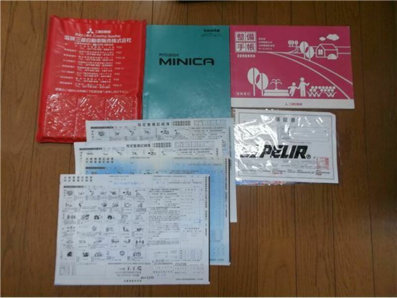 MINICA-24
