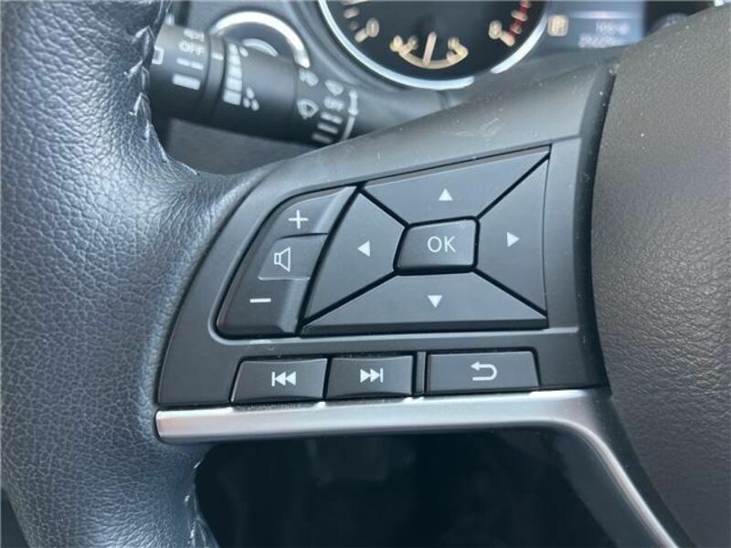 X-TRAIL-37