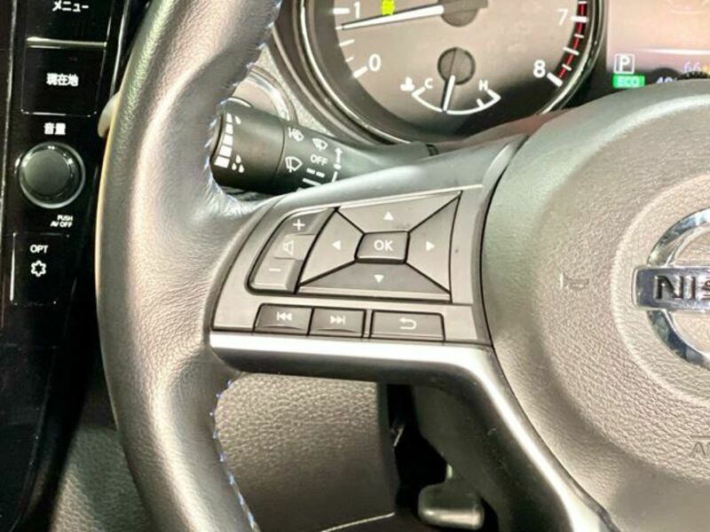 X-TRAIL-33