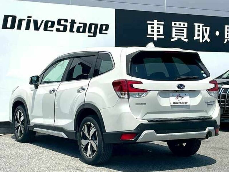 FORESTER-3