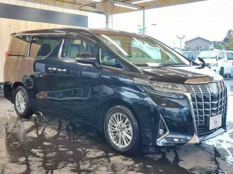 ALPHARD-13