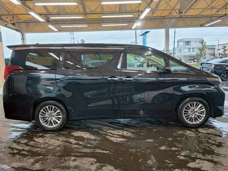ALPHARD-14
