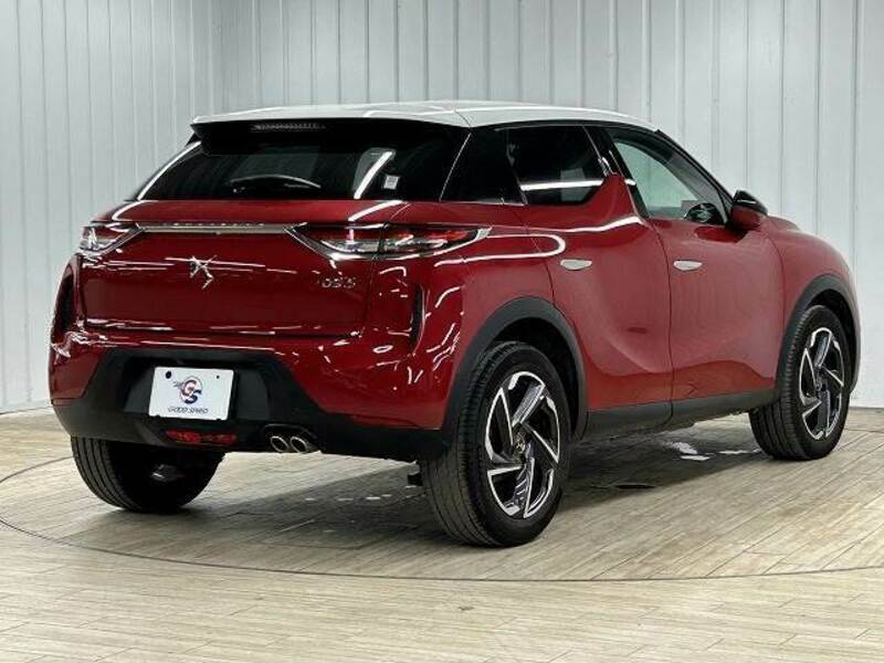 DS3-15