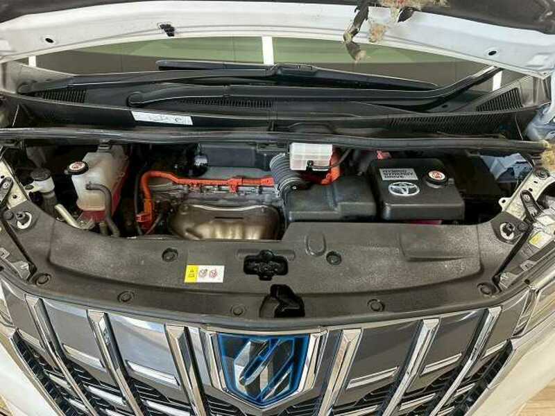 ALPHARD-17