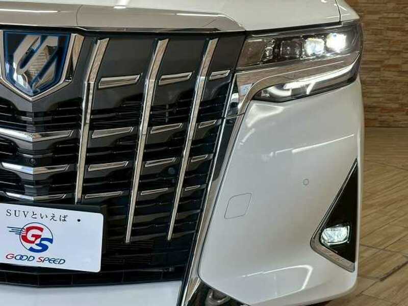 ALPHARD-19