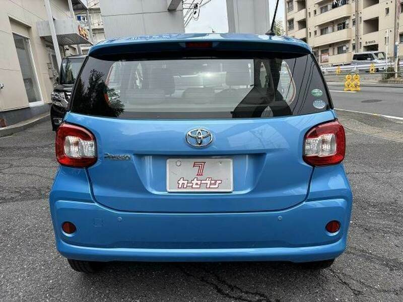 PASSO-13