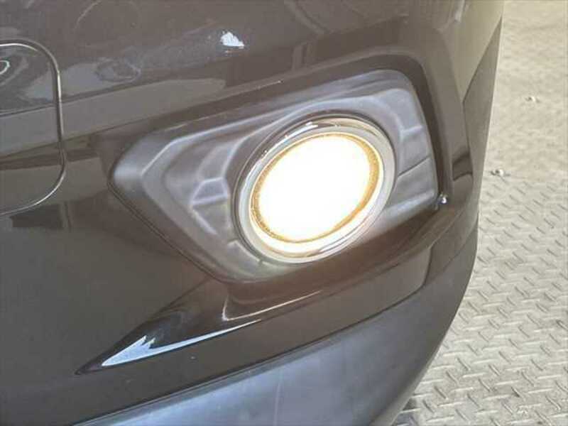 X-TRAIL-12