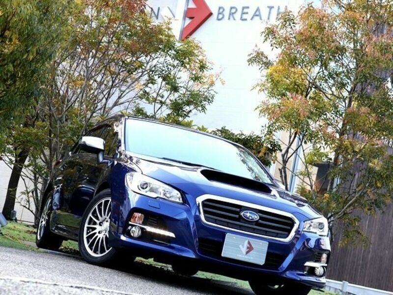 LEVORG-3