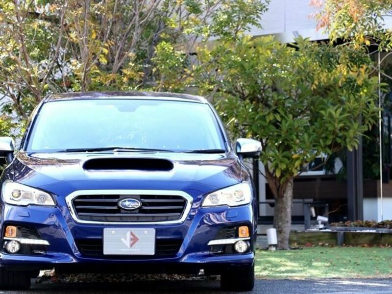 LEVORG-4