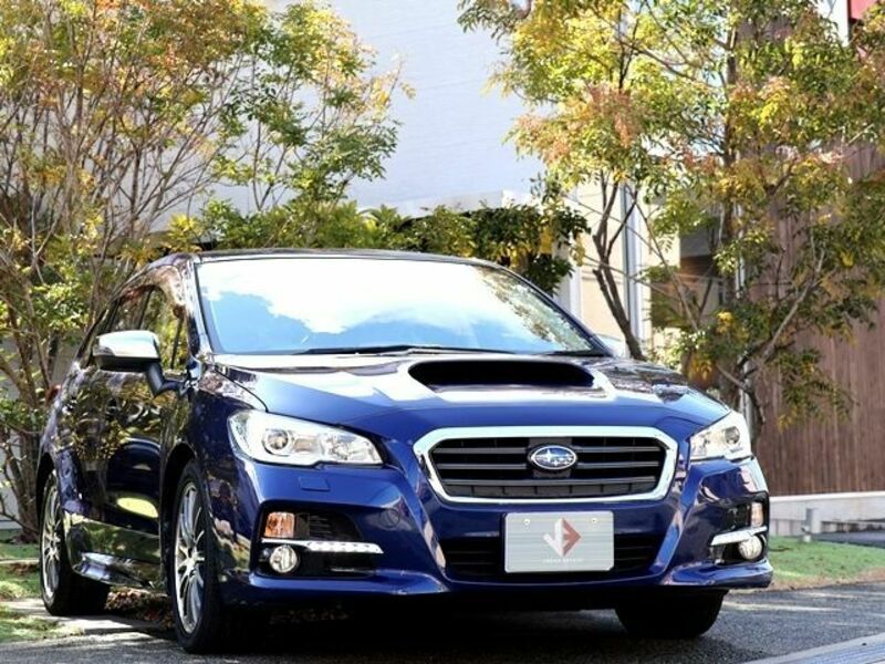 LEVORG-6