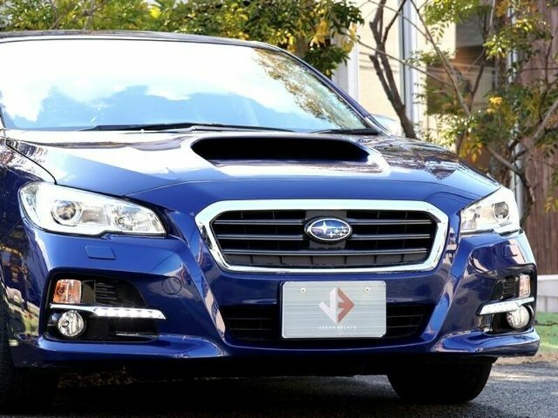 LEVORG-7