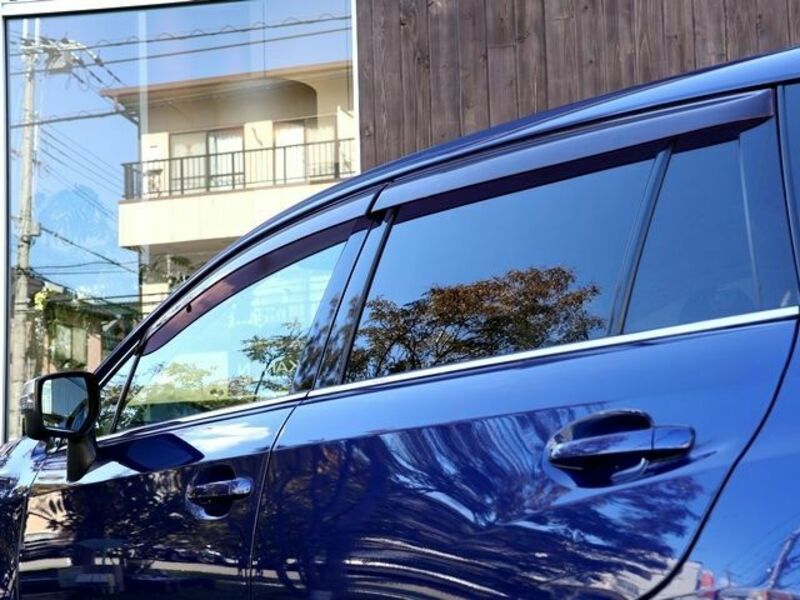 LEVORG-10