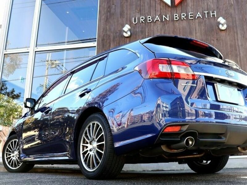 LEVORG-11