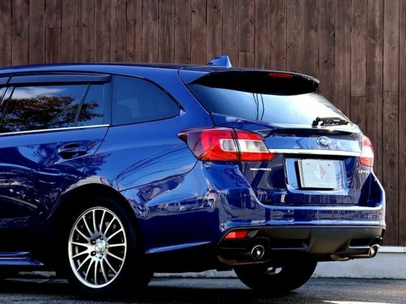 LEVORG-13