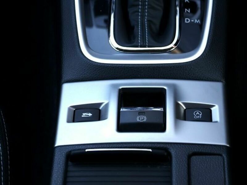 LEVORG-21