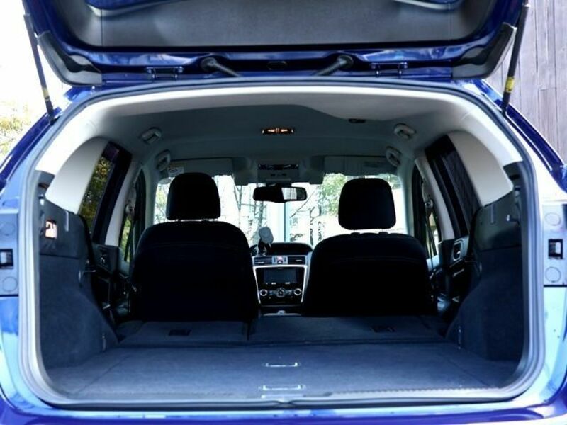 LEVORG-29