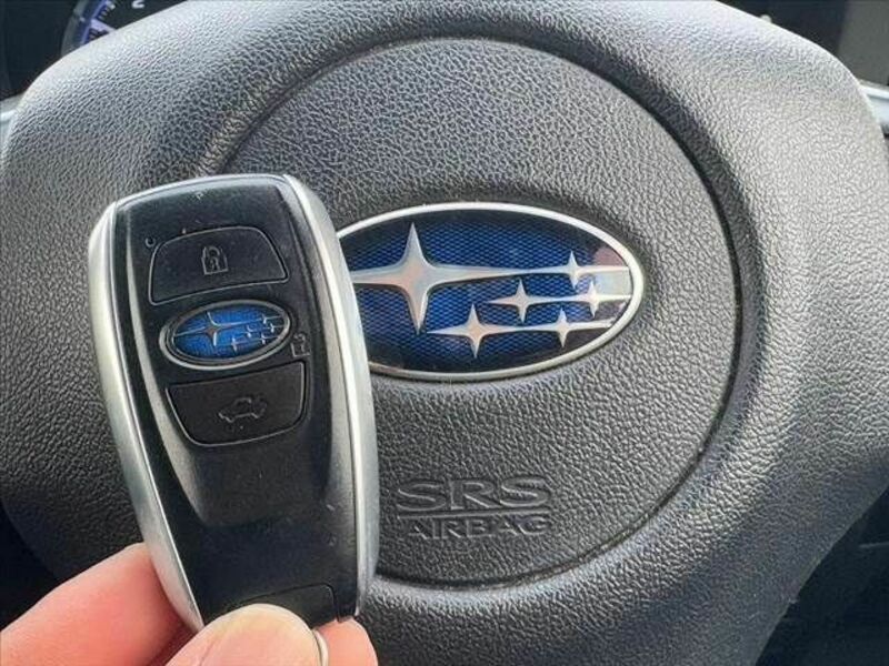 LEVORG-3