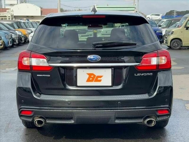 LEVORG-13
