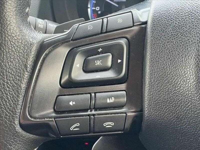 LEVORG-20
