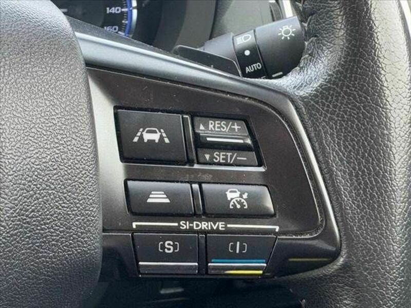 LEVORG-21