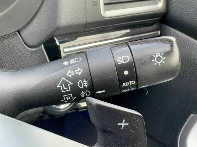 LEVORG-25