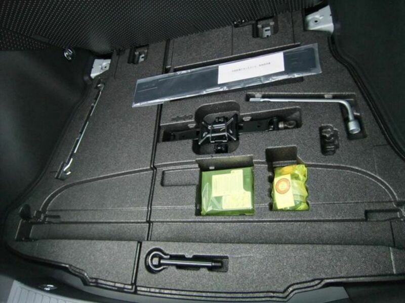 PRIUS-20