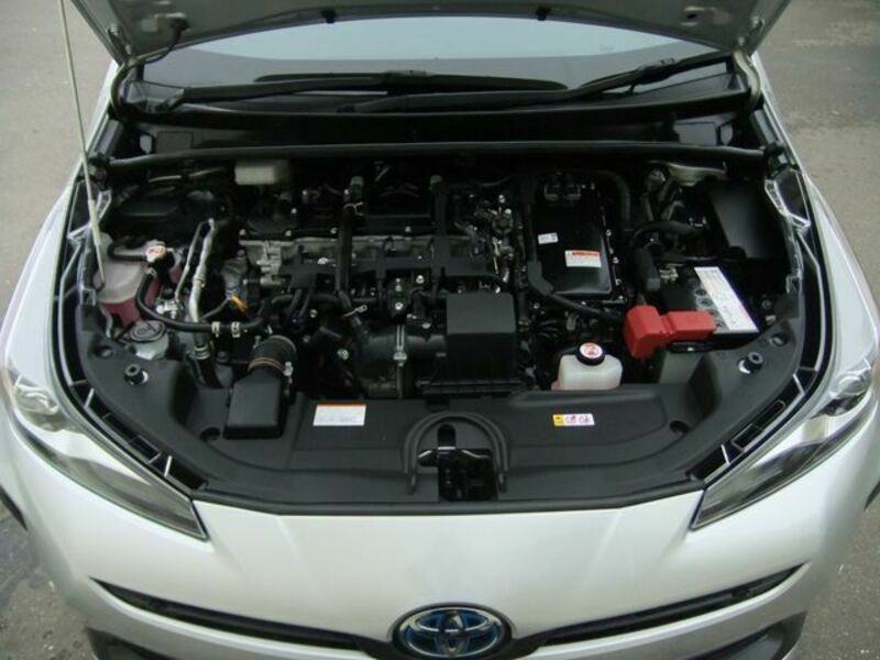 PRIUS-21
