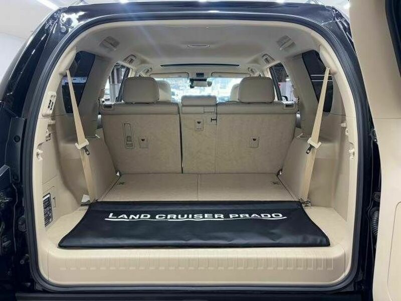 LAND CRUISER PRADO-12