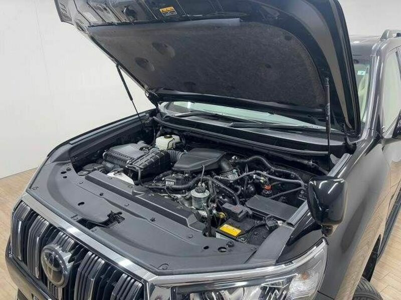 LAND CRUISER PRADO-17