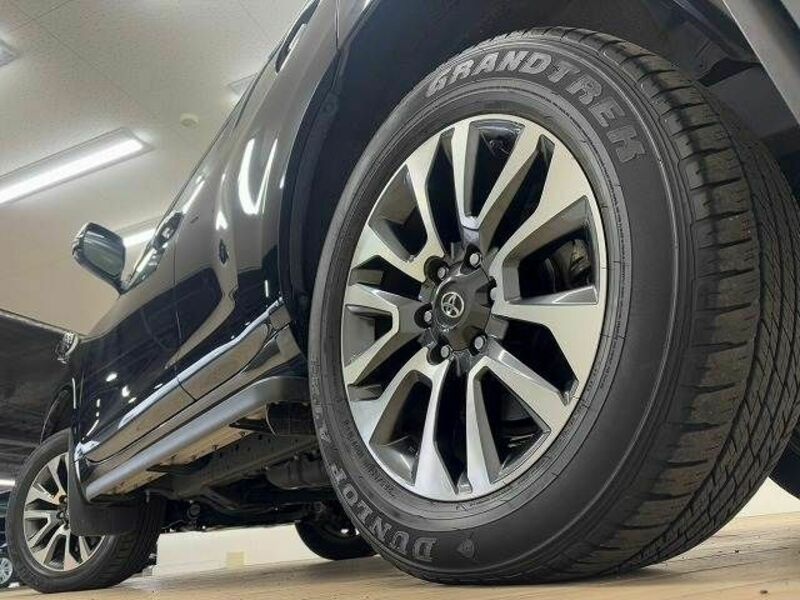 LAND CRUISER PRADO-18